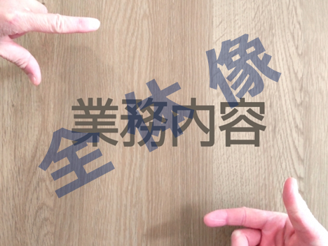行政書士とは　業務　全体像